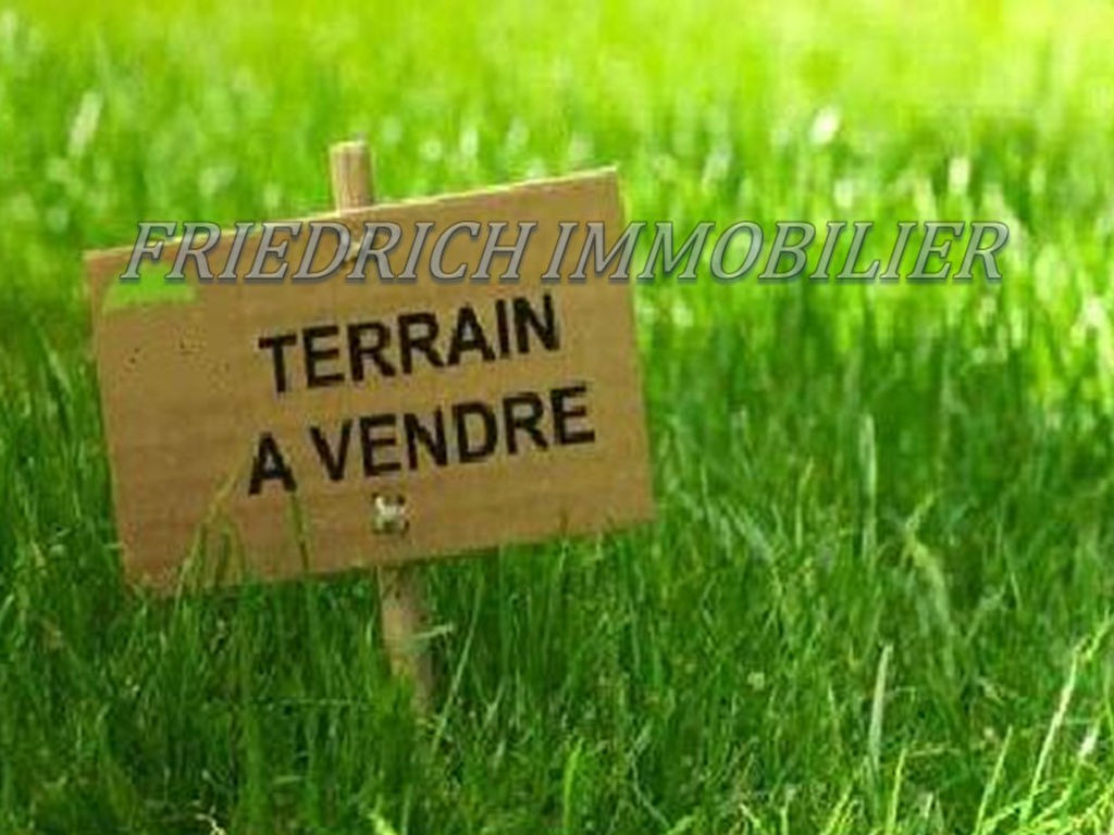 Seconde photo